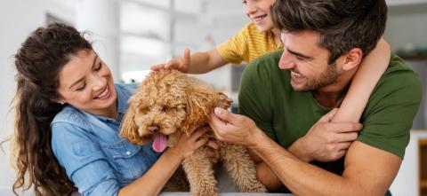 family and dog